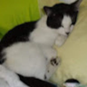 Meet your Posher, Brandy